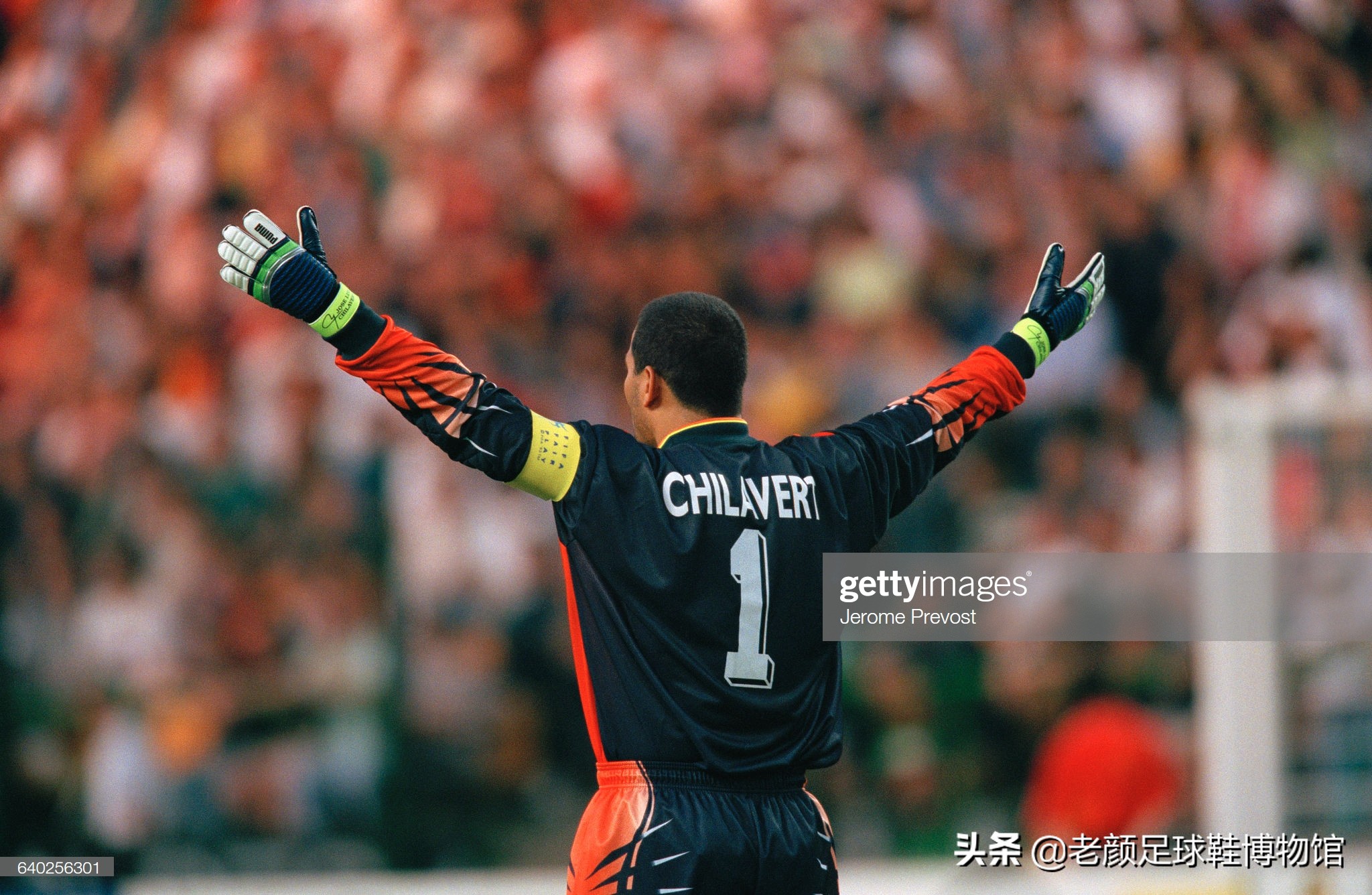 足球任意球教学奇拉维特一共进多少球