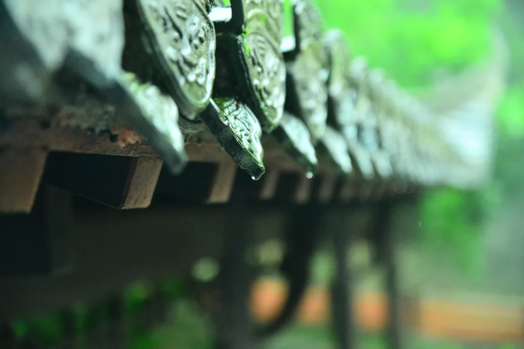 敬亭烟雨，「雨后美景」藏不住......