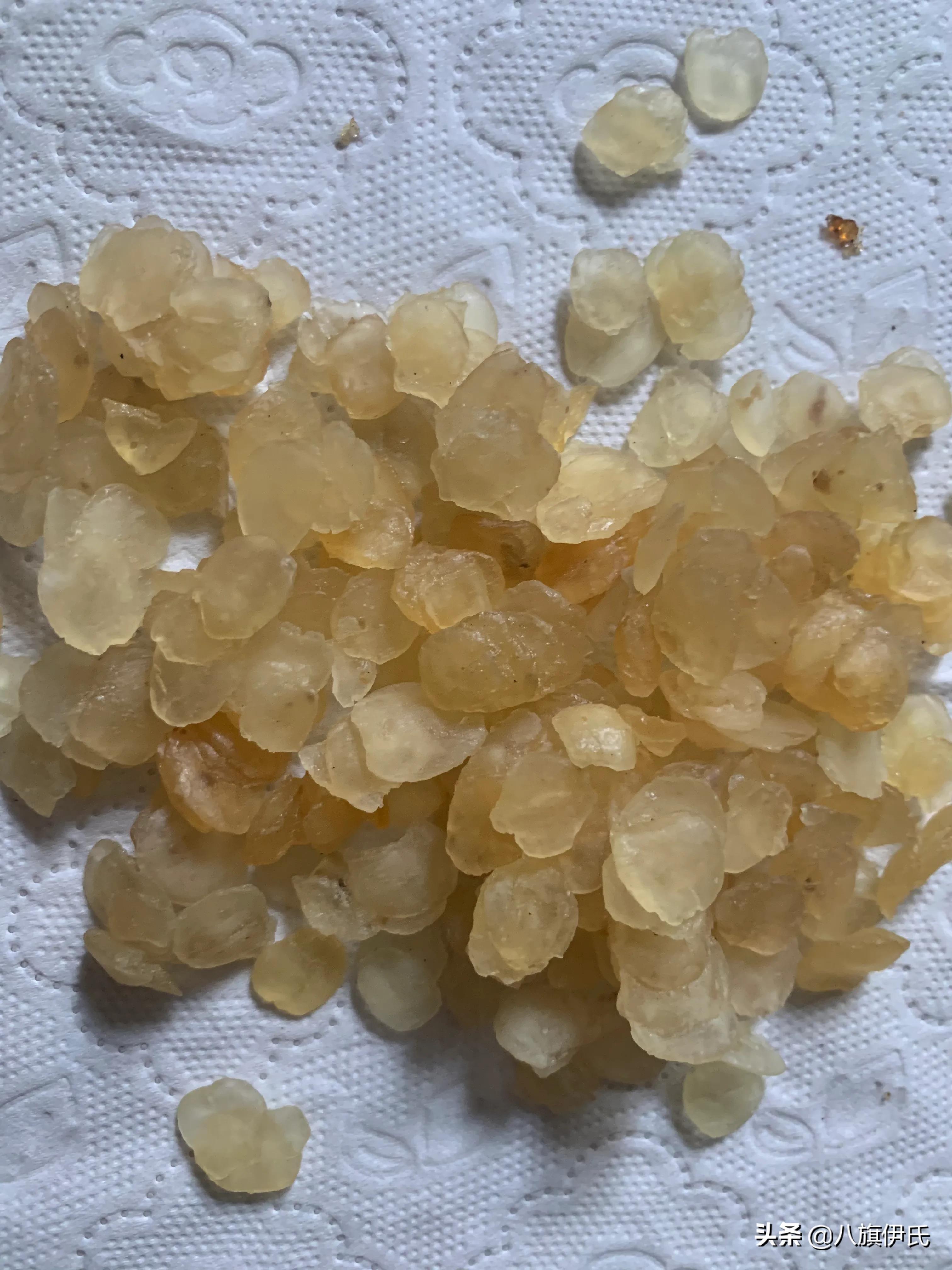 桃胶皂角米甜汤，一款美容养颜，补充胶原蛋白，很滋润的甜汤