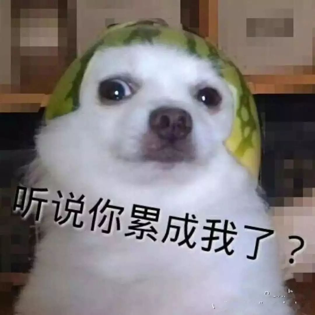 "累成狗"用英语到底怎么说?