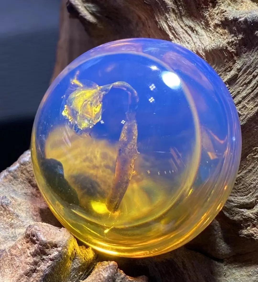 缅甸琥珀在琥珀界中是怎样的地位