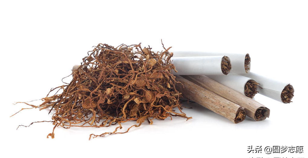 上课可以抽烟！我国9所开设烟草专业的大学（包括两所211）