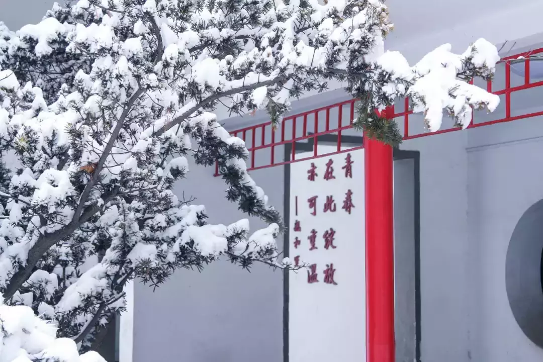 西安交通大学书法、美术专业招生简章来啦！报考交大请注意这些步骤！