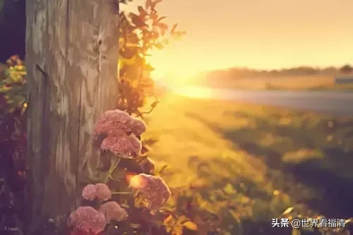 一定要发出去,这才叫信仰,句句精彩!(2019经典人生感悟)