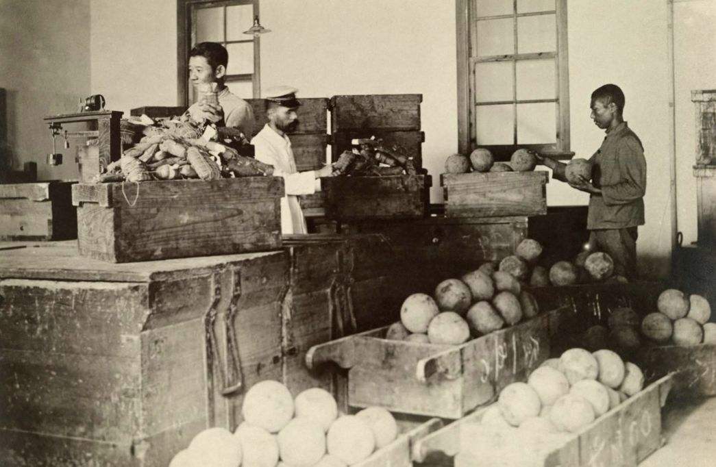 鸦片本是治病的良药，到底是如何变成毒品的？原来是使用方式变了