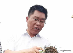 生于1970：添了白发，多了从容