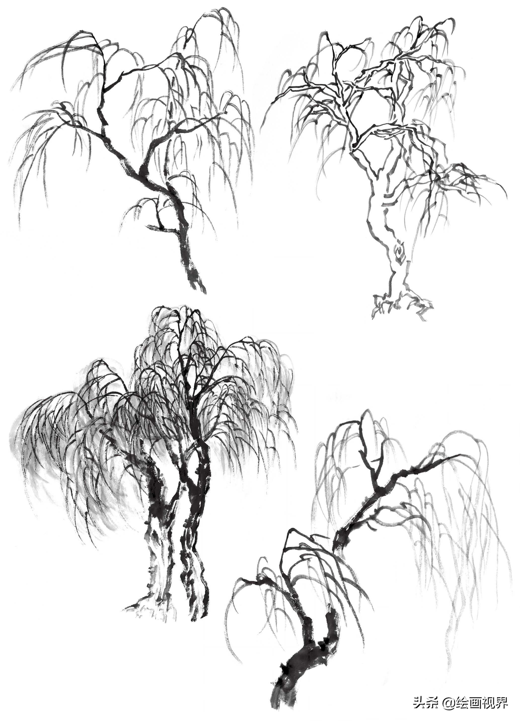 画国画树不会画？教你常见树的画法，简单易学，收藏起来临摹学习