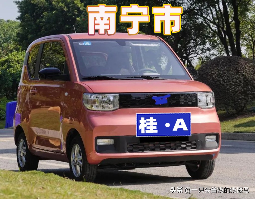 å¹¿è¥¿å£®æ—�è‡ªæ²»åŒºæ±½è½¦ç‰Œç…§å&shy;—æ¯�æ�’åº�