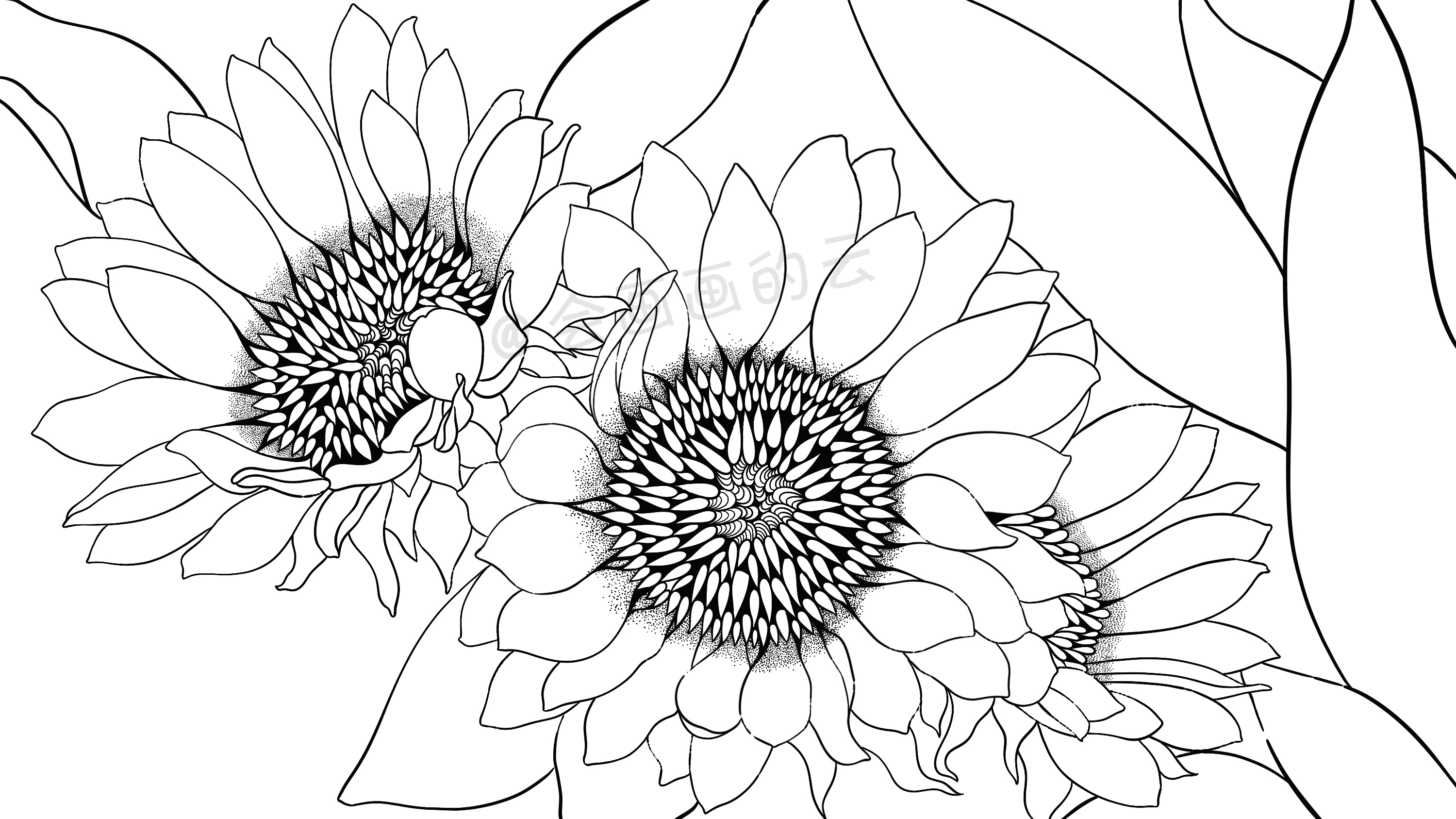 线条的魅力，线描插画过程图详细步骤讲解，教你如何零基础画画