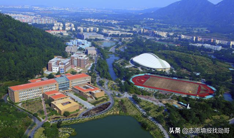 读东北大学秦皇岛分校，还是211大学？没有对比就没有伤害