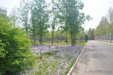 专职注会的专业培训机构------北京财科学校