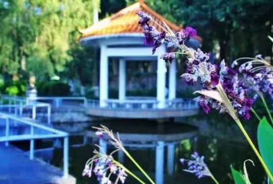 华侨大学2016-2018年各省份录取分数