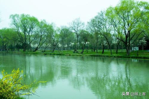 草长莺飞二月天，拂堤杨柳醉春烟