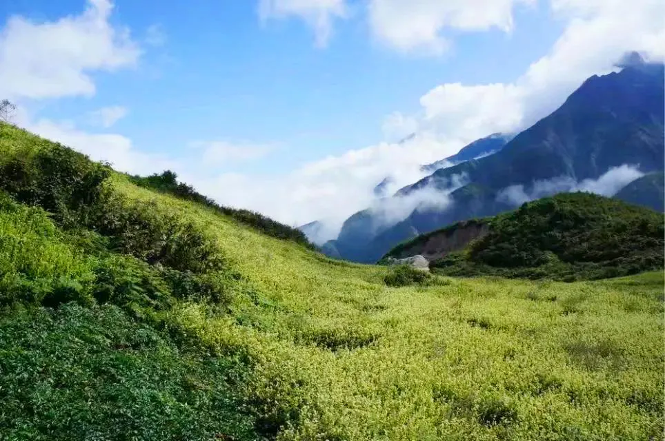 不收门票的世界级风景！赏万亩夏花、观云海日出…成都2天耍来回