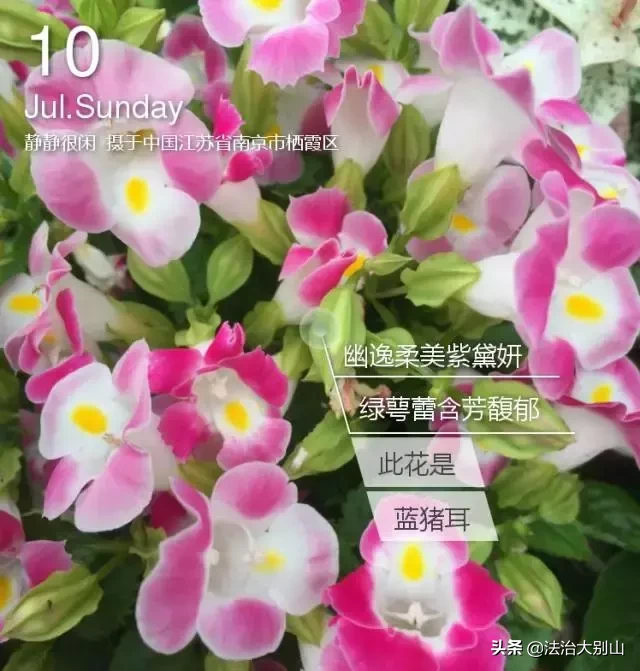 高考在即，黄冈中学名师教你各科踢好