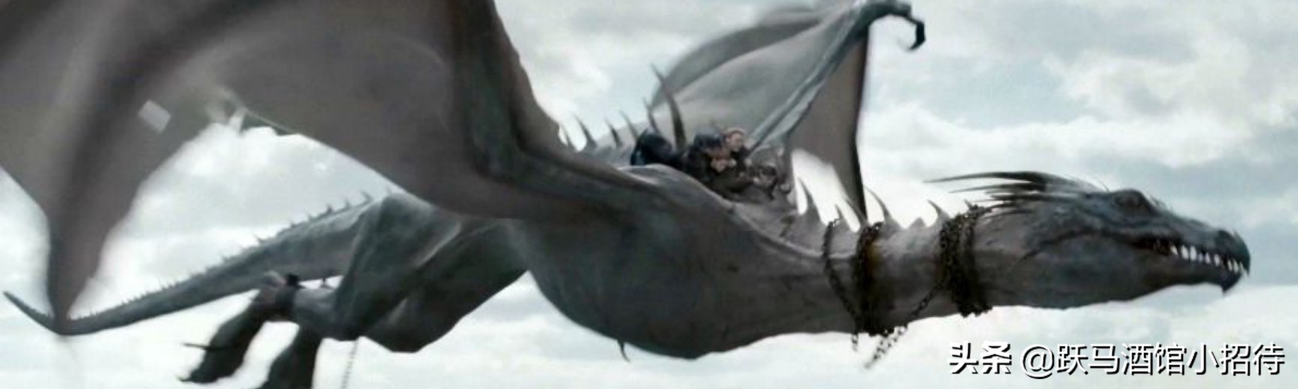 给麻瓜的《神奇动物百科》，魔法世界的动物到底有多神奇（长文）