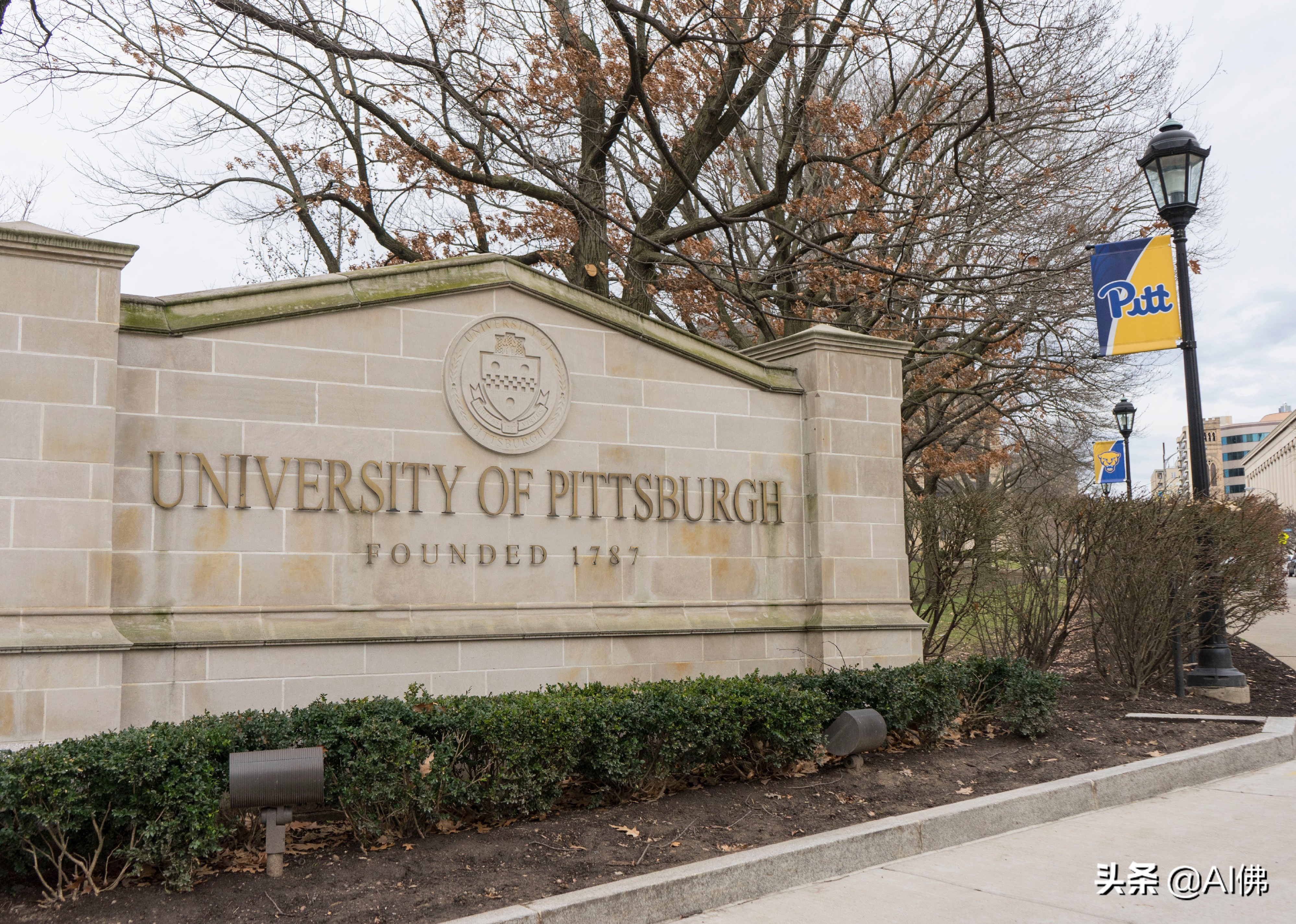 美国每个州ROI最高的公立大学