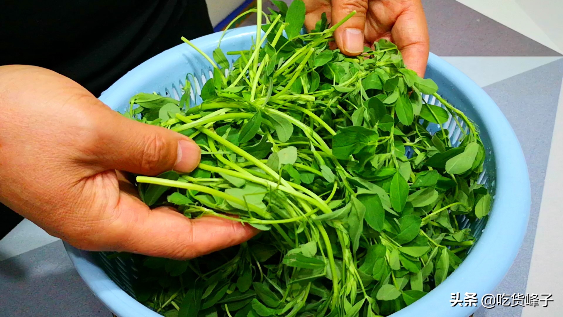 这菜浑身都是宝,可惜很多人当草,经常上火多吃点,烙饼吃特香