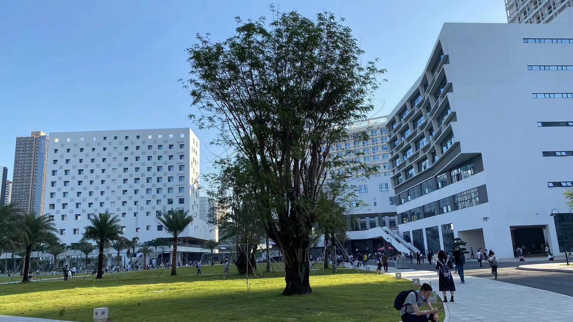 深圳自考专升本需要花多少钱？