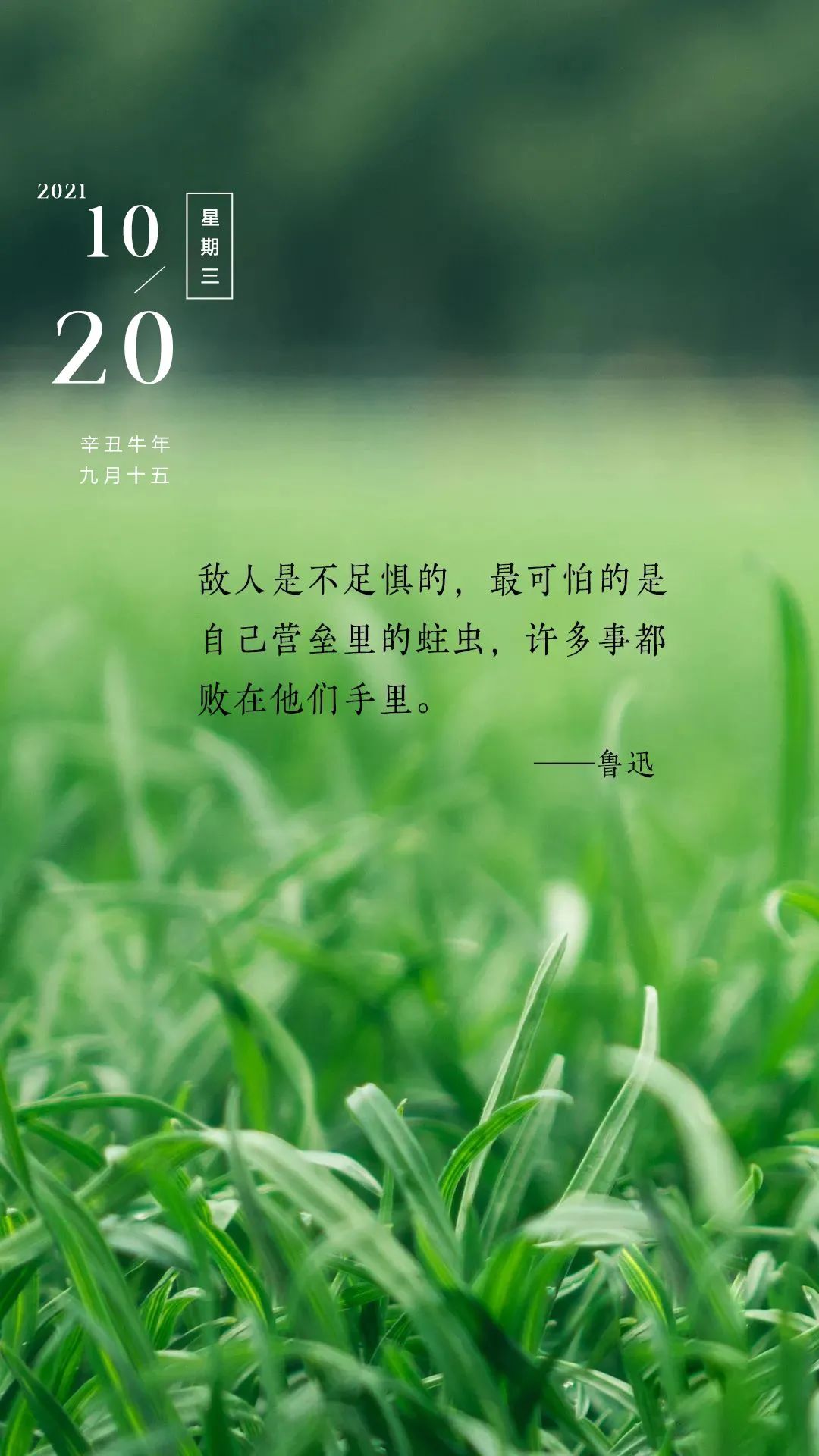 关于早上励志的说说心情短语配图「霸气」 _qq说说网