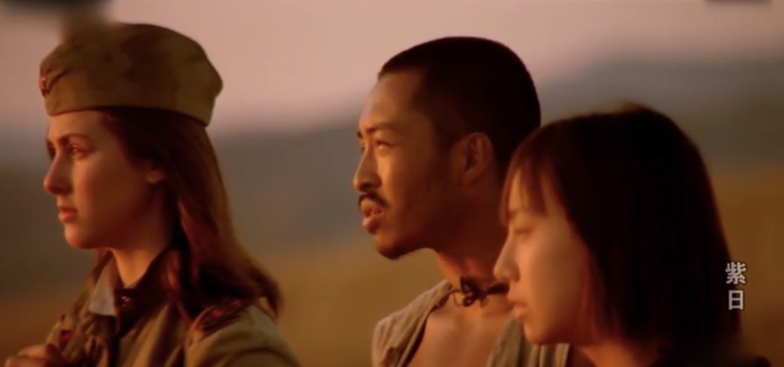 紫日电影剧情「简介」 _晶羽科技