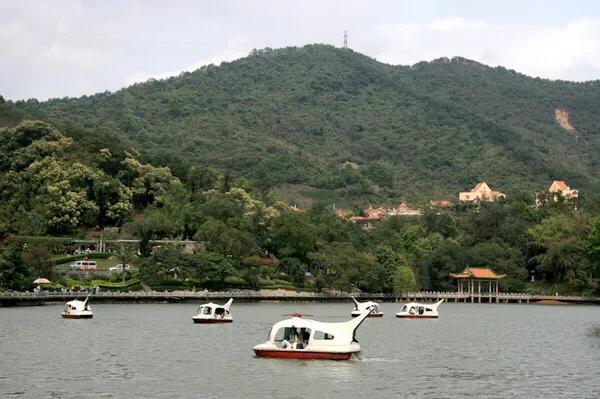 深圳十大免费特色的湖泊公园