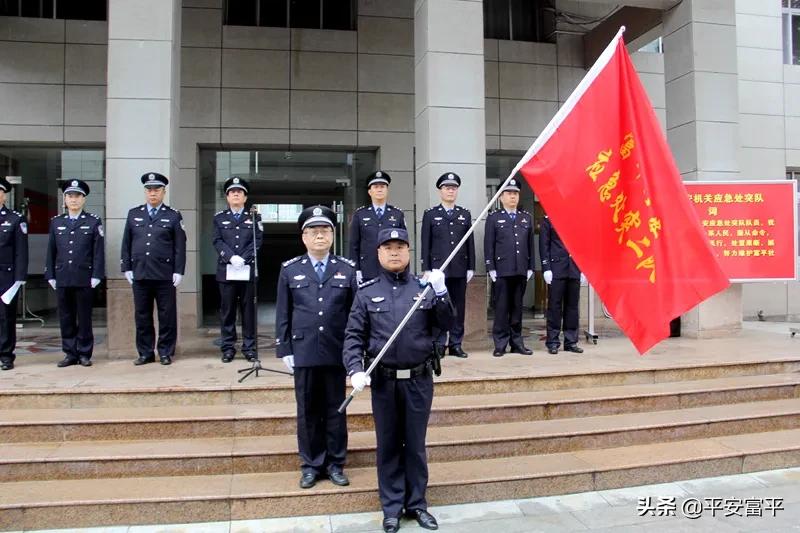 富平县公安局举行机关应急处突队授旗仪式