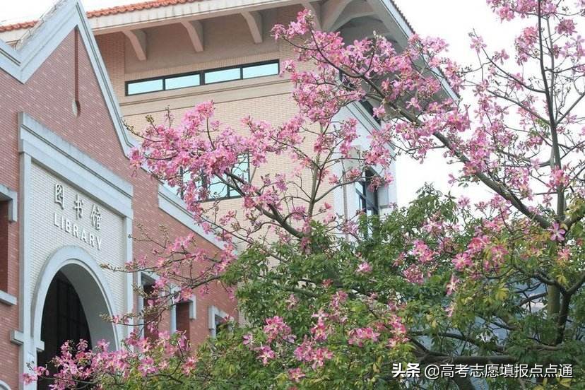 厦门大学优势专业分析及2019、2018、2017年各省录取分数线