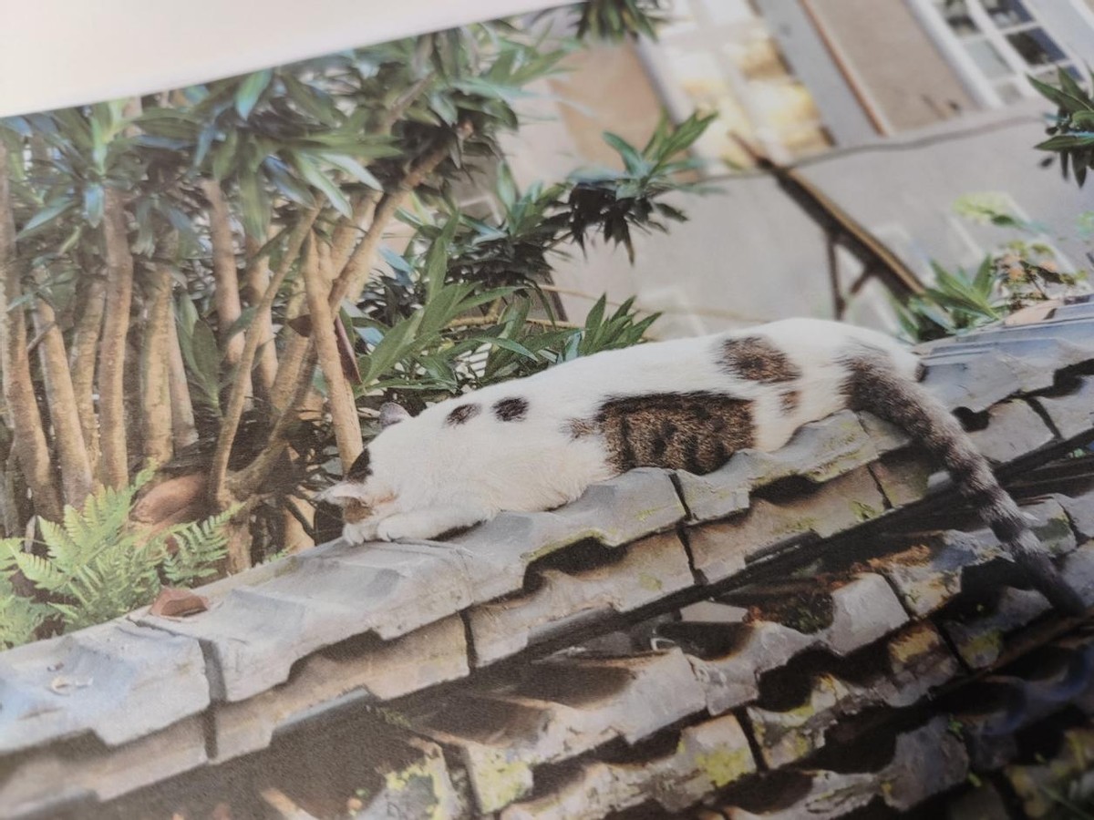 双面打印，一机多能 聊聊我轻松搞定孩子学习和日常打印需求的秘诀