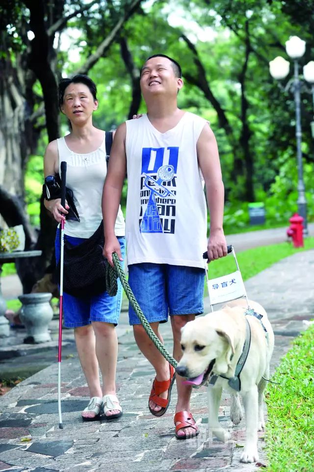 为看一场电影，梦中汽车轰然爆炸