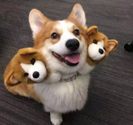 眼神定在你身上