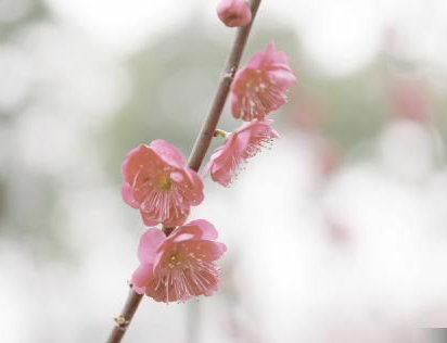 山东大学2016-2018鲁冀江浙黑吉辽录取分数