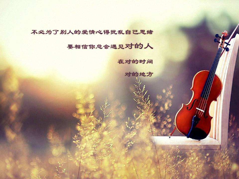 关于爱情的十句箴言,爱情中,男女的标准都很专一