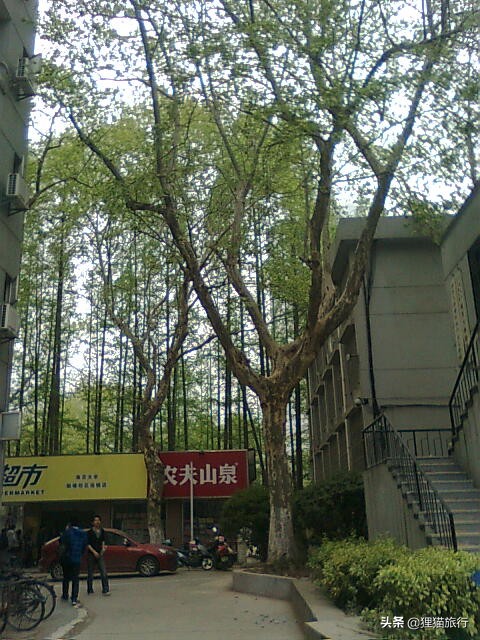 百年名校南京大学一日游，八年前的老照片带你回忆南大