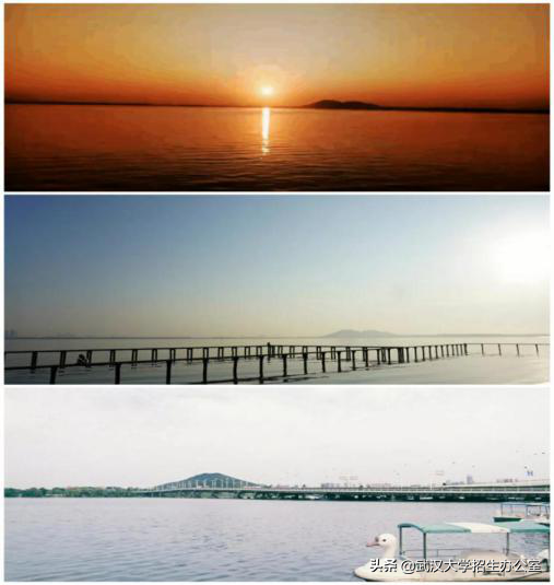 武汉大学：中国“最最最最最最最”令人向往的大学之一！