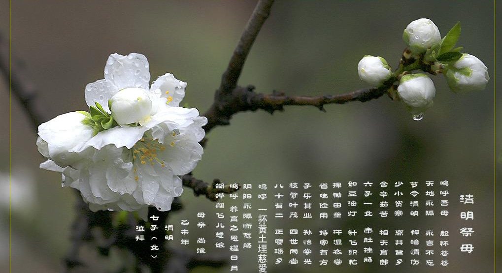 天堂里的母亲，此生缘分已尽，唯有回忆可追