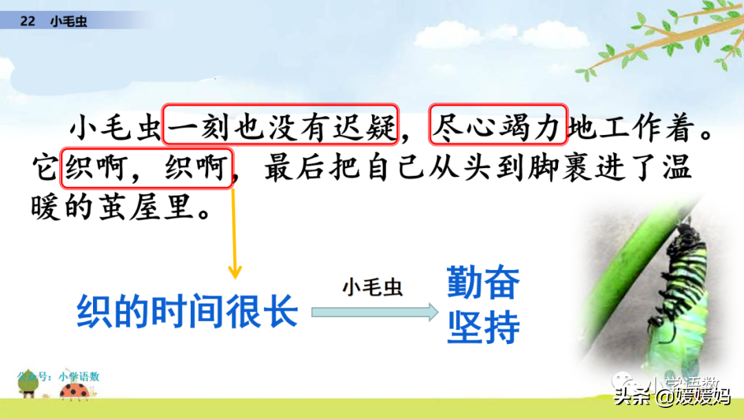 二年级下册语文课文22《小毛虫》图文详解及同步练习