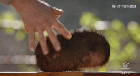 中国到底哪里的鸡最好吃？