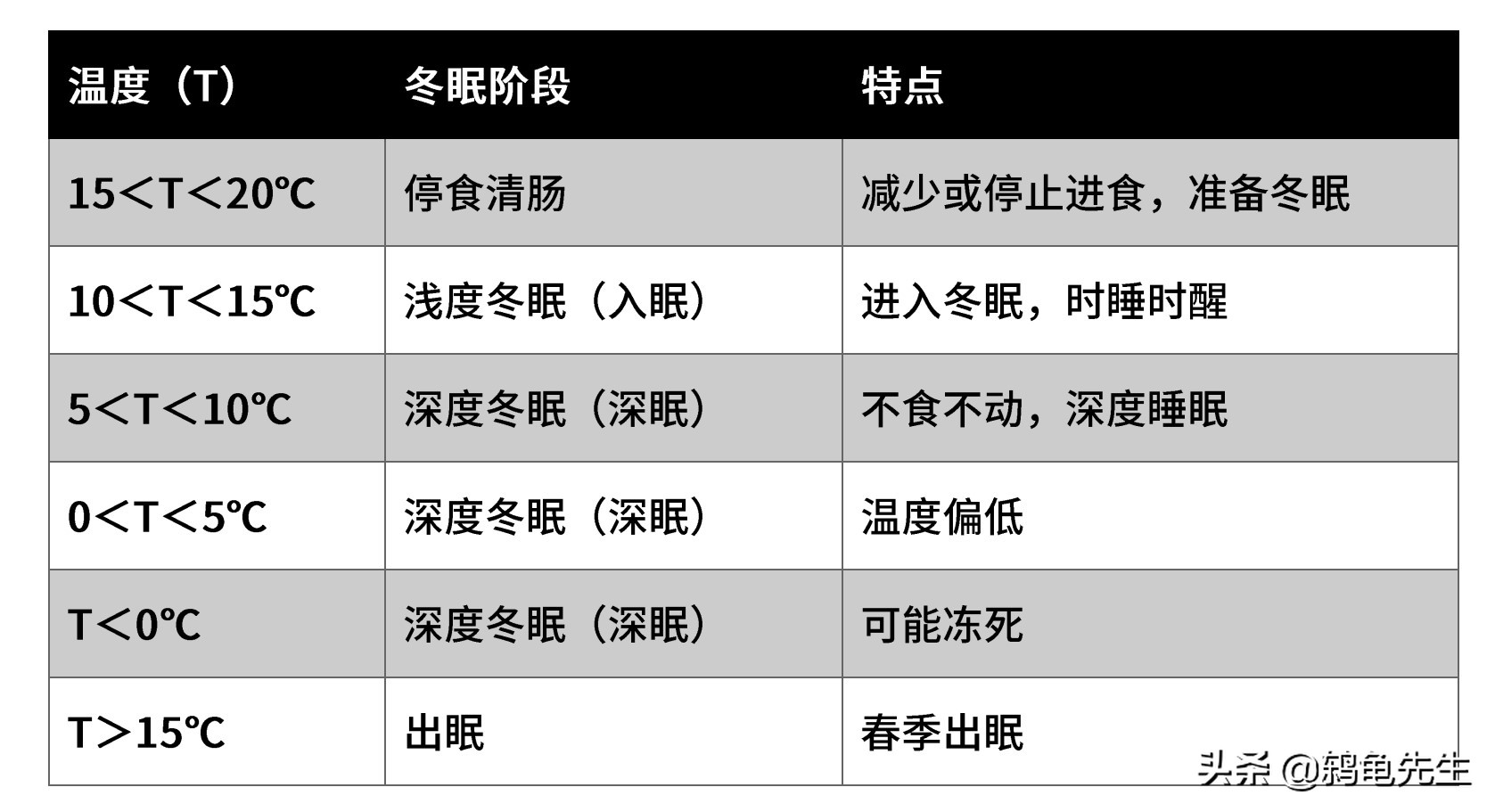 冬季北方室内有暖气条件下养乌龟并不难，详解饲养方法与注意事项