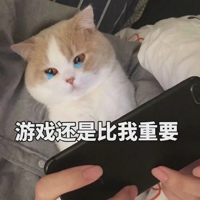 猫咪斗图表情包合集 你这是想干嘛呀