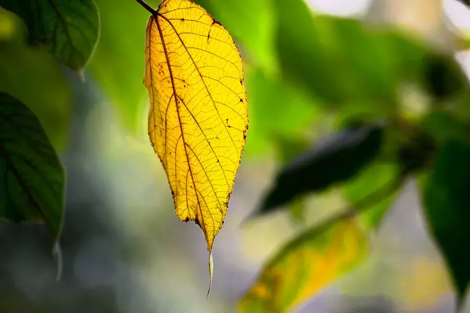 小短句 | 让你瞬间满血复活的正能量句子
