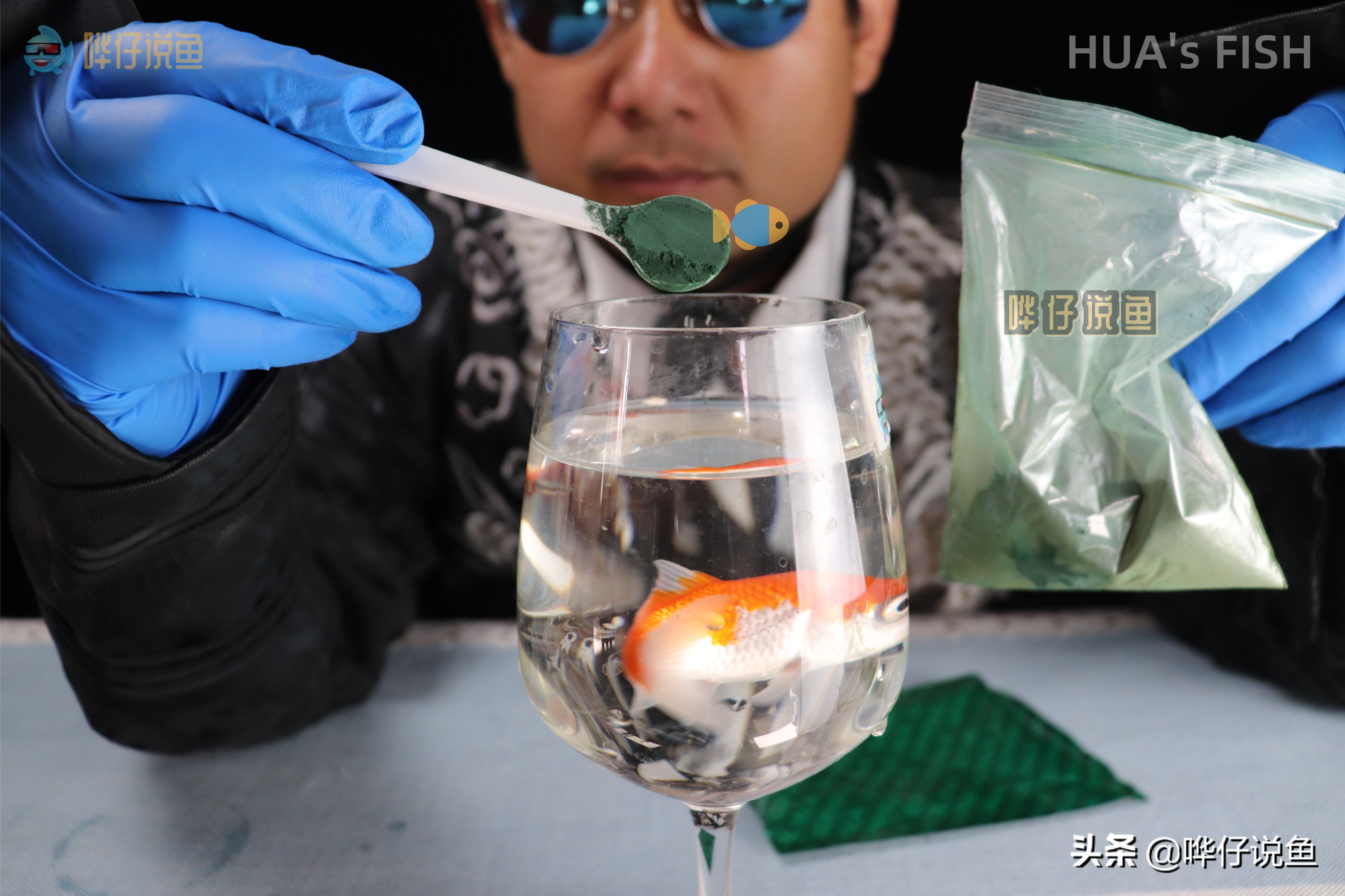 辟谣！鱼缸里打了红灯就一定可以让观赏鱼颜色鲜艳？您想得太美了
