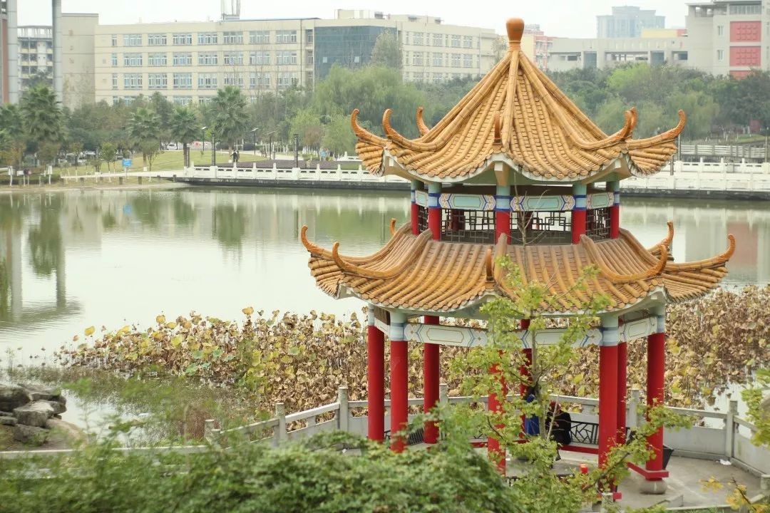 最新！国务院下发通知：西南政法大学新增3个硕士学位授权点！