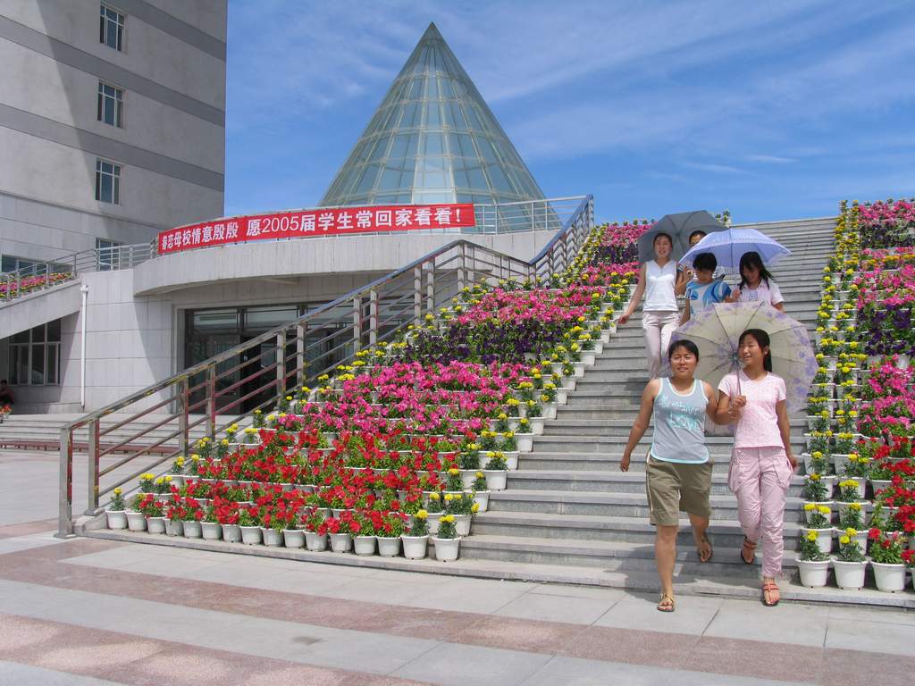 东北一所一本大学，报考人数凤毛麟角，全因为看名字像“专科”