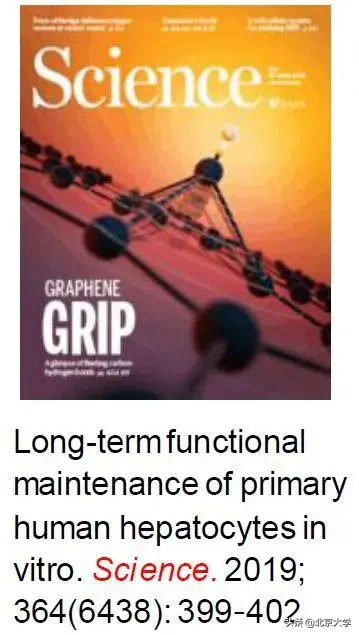 强基计划，北大医学等你来！