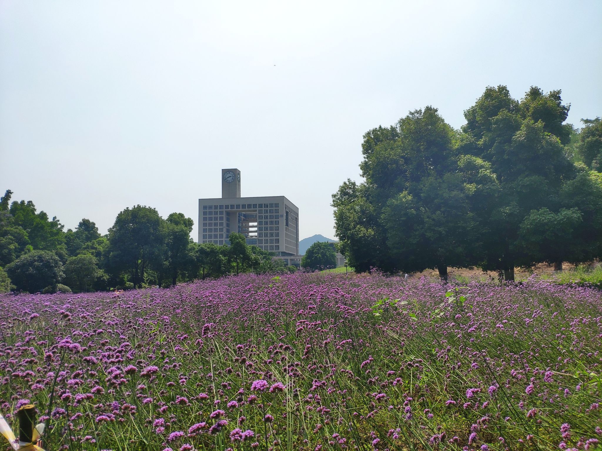 强弱有别！四类以省命名的师范大学，优势学科有哪些？