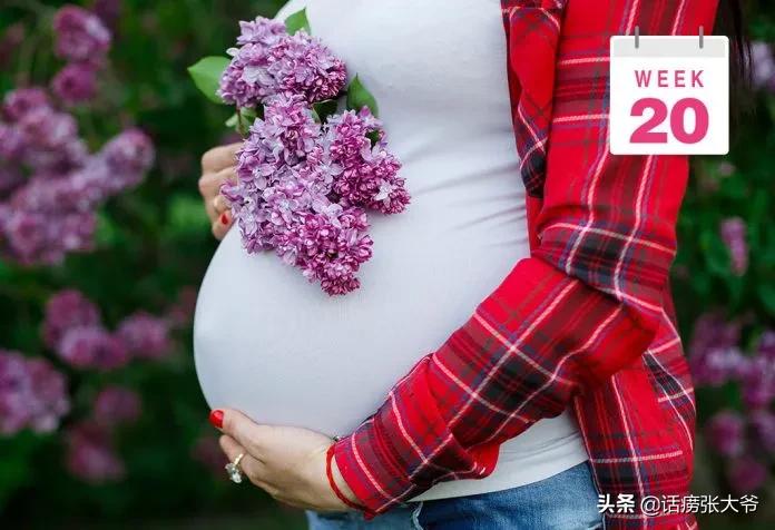 1至40周胎儿发育过程图
