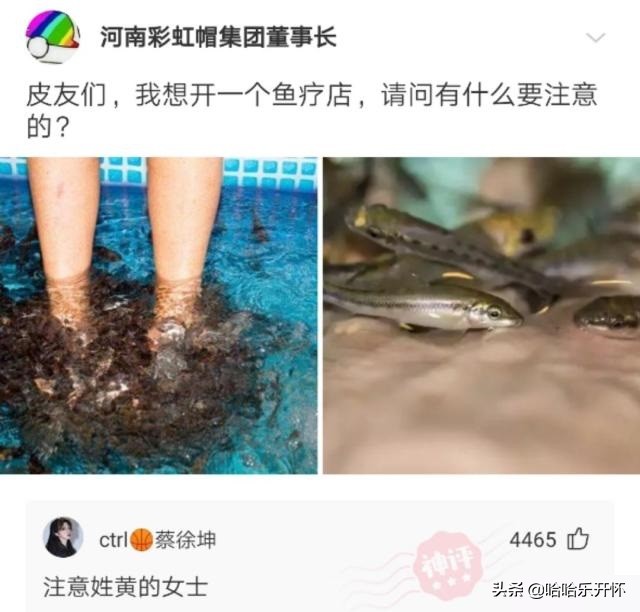 神评爆笑合集：一句话证明你看过《西游记》，字越少越好