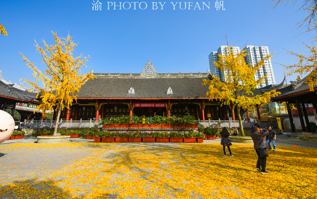 沈阳龙之梦相亲角(我知道你想去成都玩，所以精心为你准备了一份成都吃喝玩乐全攻略)