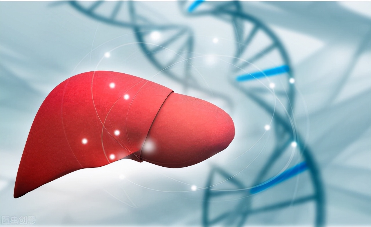 肝功能检查单你会看吗？主要看这5项指标，有异常则反应肝不好